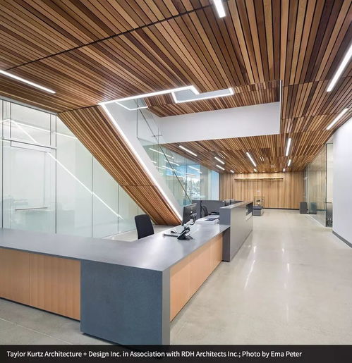 来自木材的灵感 室内装修篇