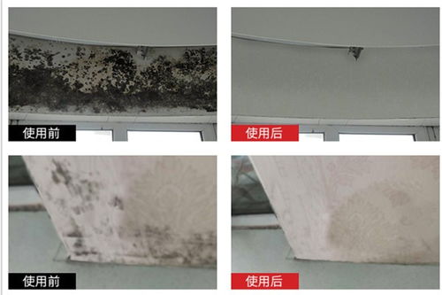 高坪塑料防霉剂厂家直销室内放置1h