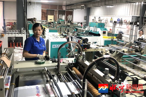 金拱镇 招大引强增活力