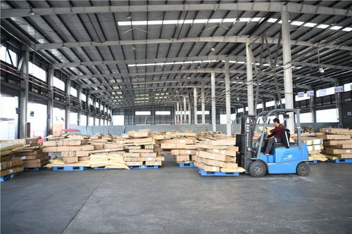 昔日破烂村，今朝变美致富曲——室内装饰材料销售引领乡村振兴